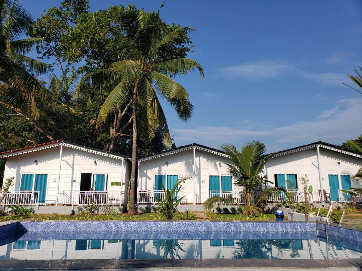 White Truffle Resort, Arambol Bagian luar foto