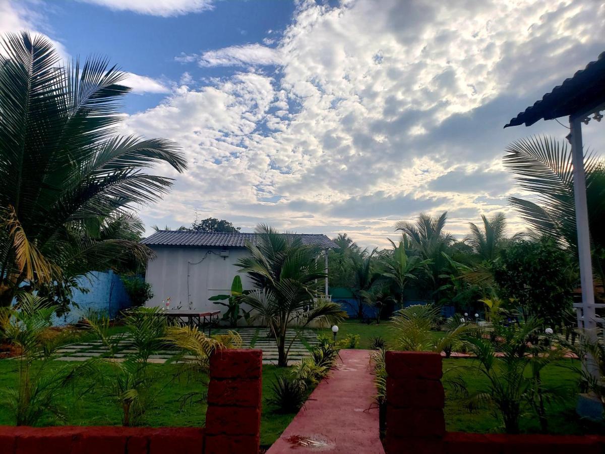 White Truffle Resort, Arambol Bagian luar foto