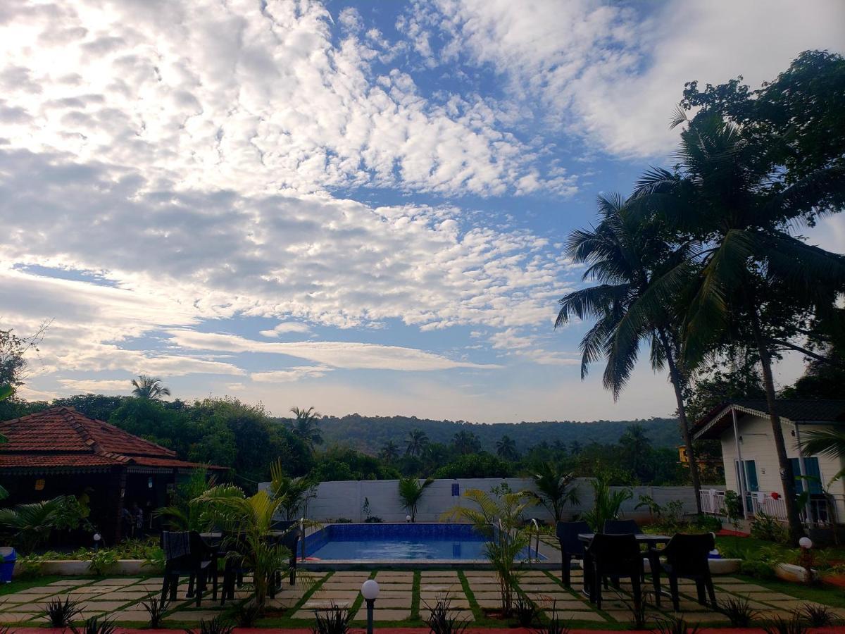 White Truffle Resort, Arambol Bagian luar foto
