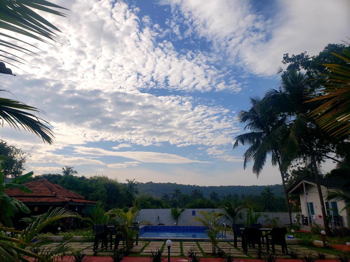 White Truffle Resort, Arambol Bagian luar foto