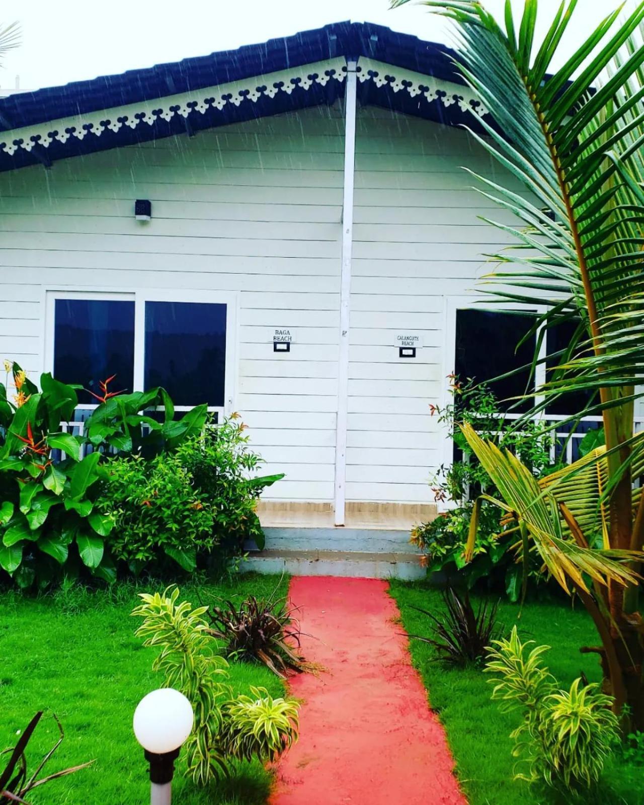 White Truffle Resort, Arambol Bagian luar foto