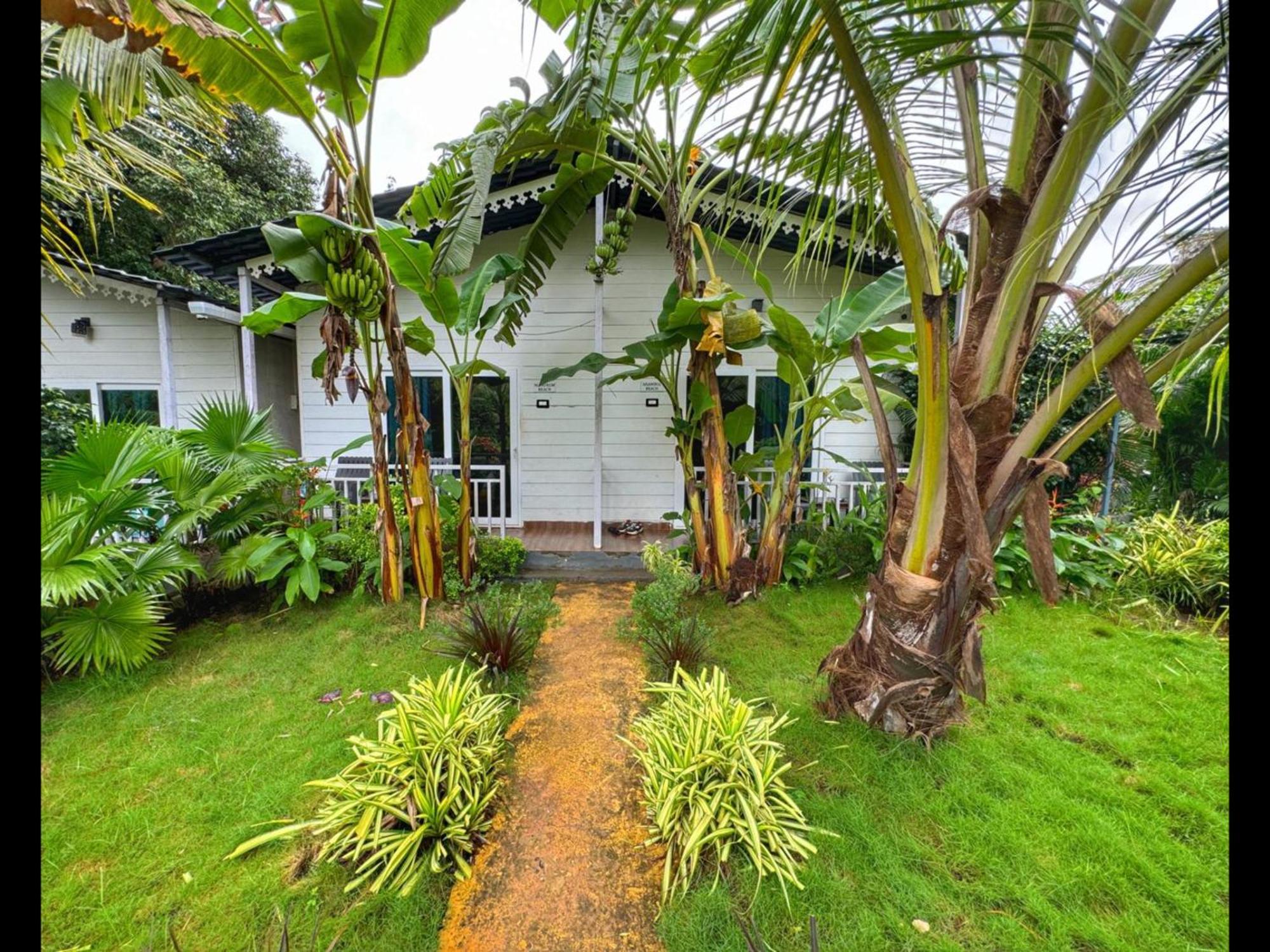 White Truffle Resort, Arambol Bagian luar foto