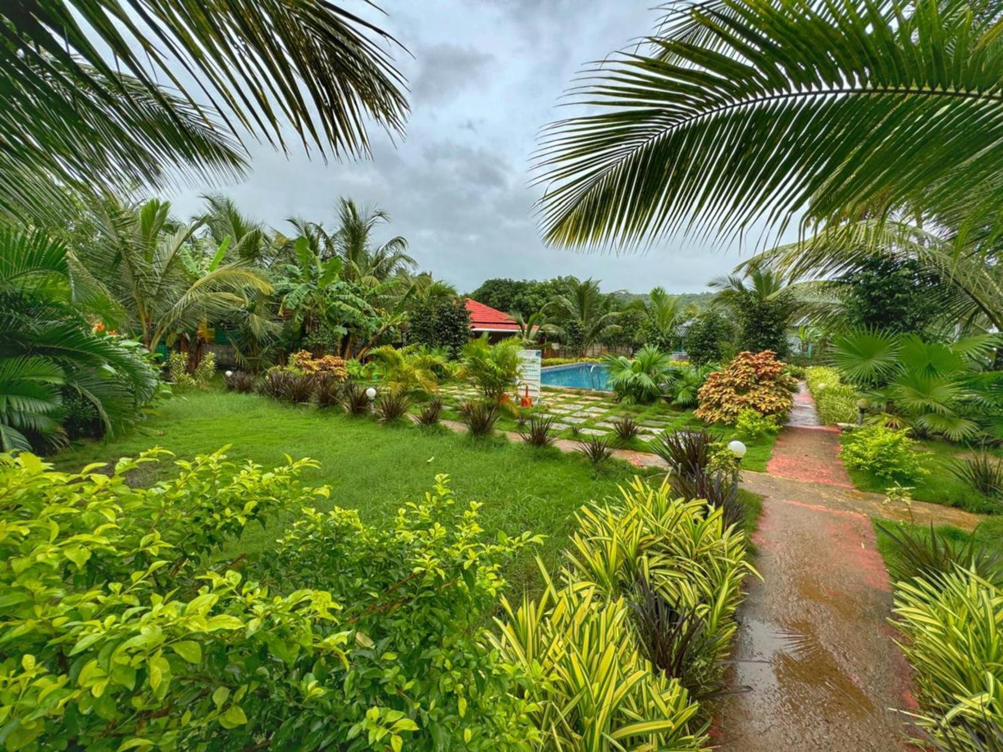 White Truffle Resort, Arambol Bagian luar foto