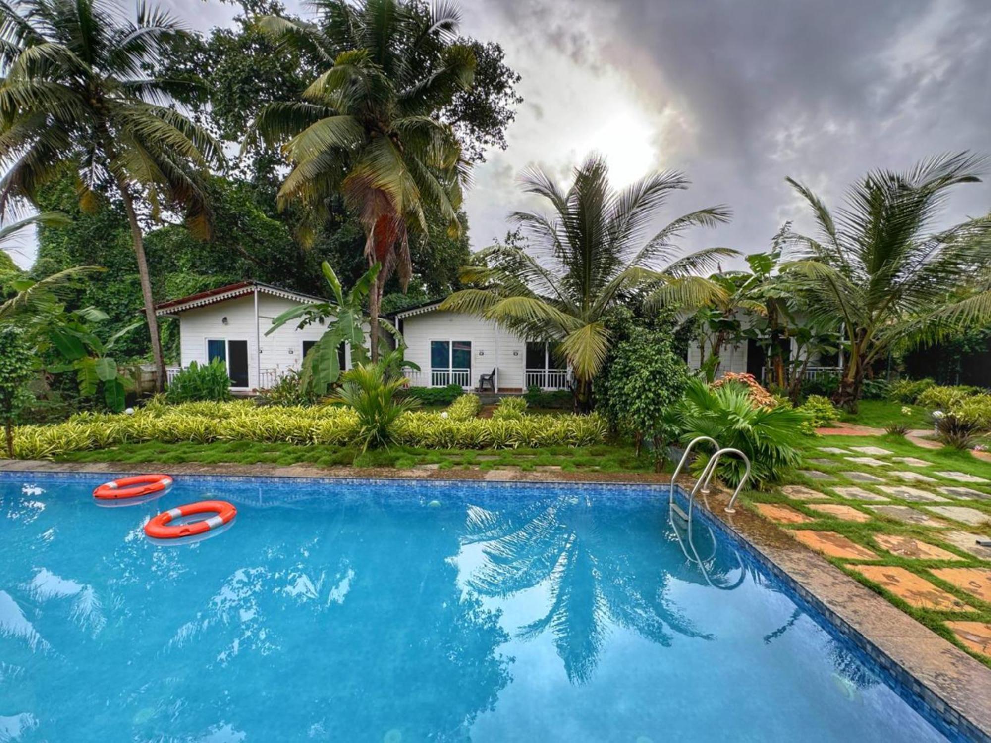 White Truffle Resort, Arambol Bagian luar foto