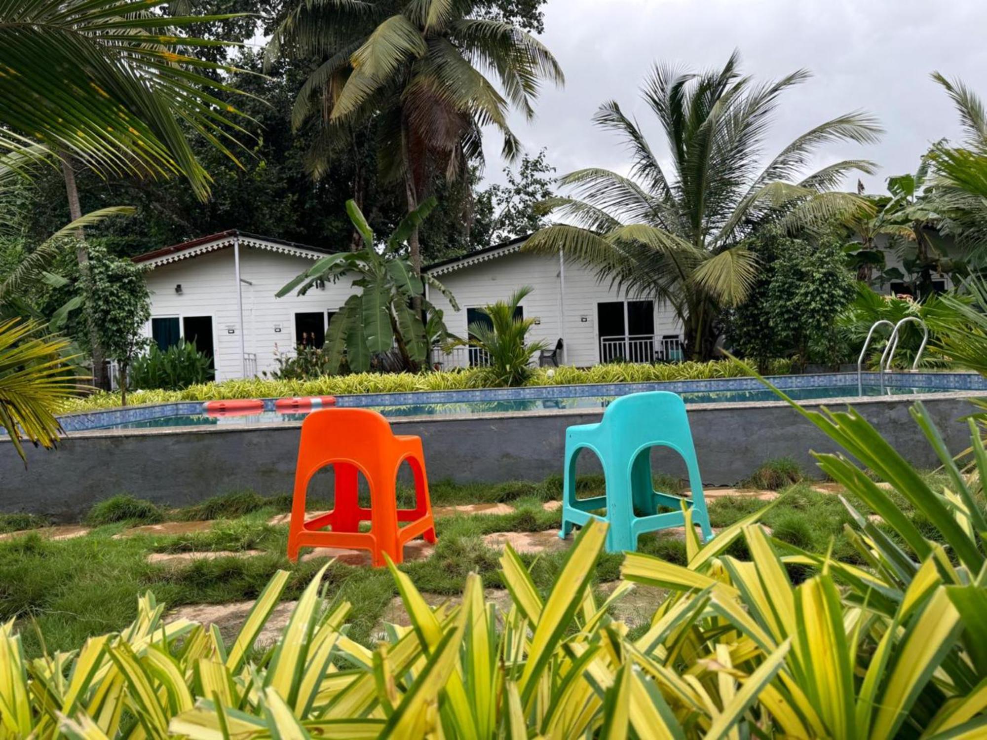 White Truffle Resort, Arambol Bagian luar foto
