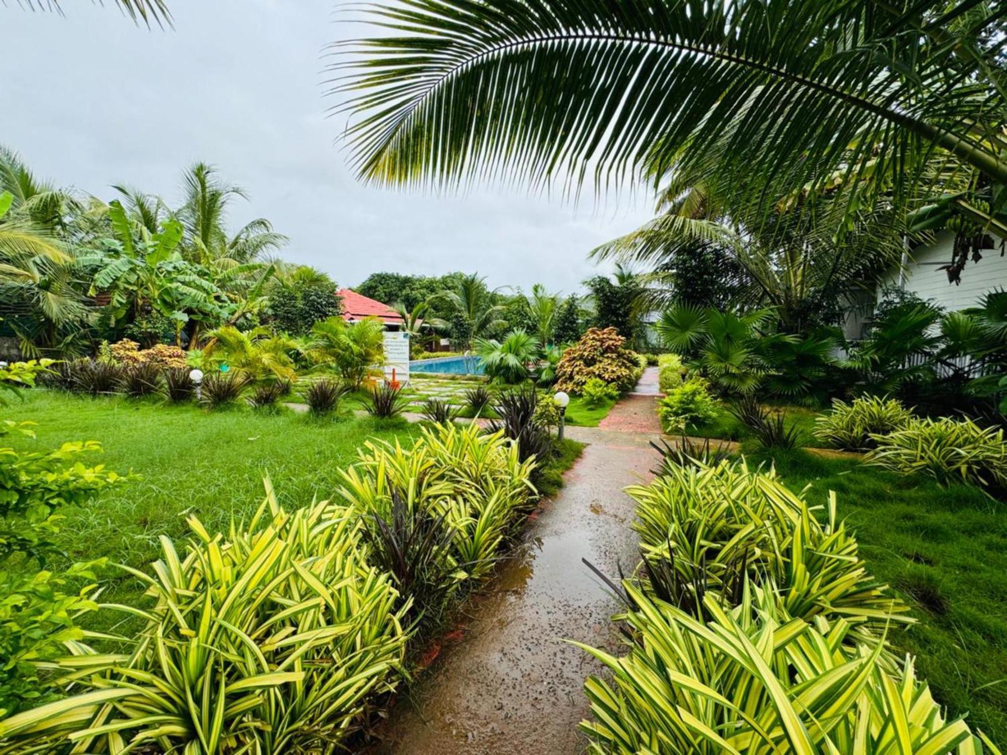 White Truffle Resort, Arambol Bagian luar foto