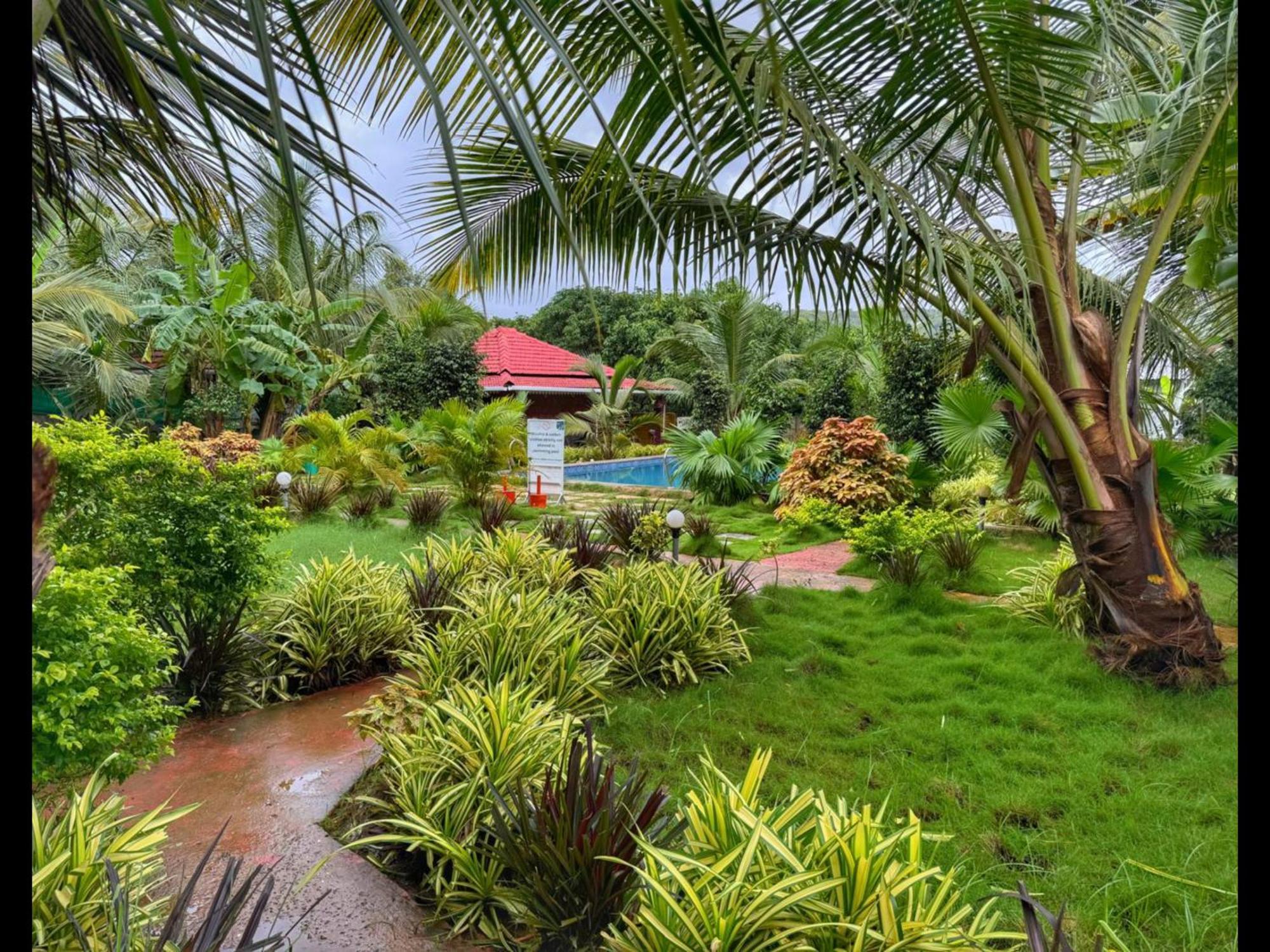 White Truffle Resort, Arambol Bagian luar foto