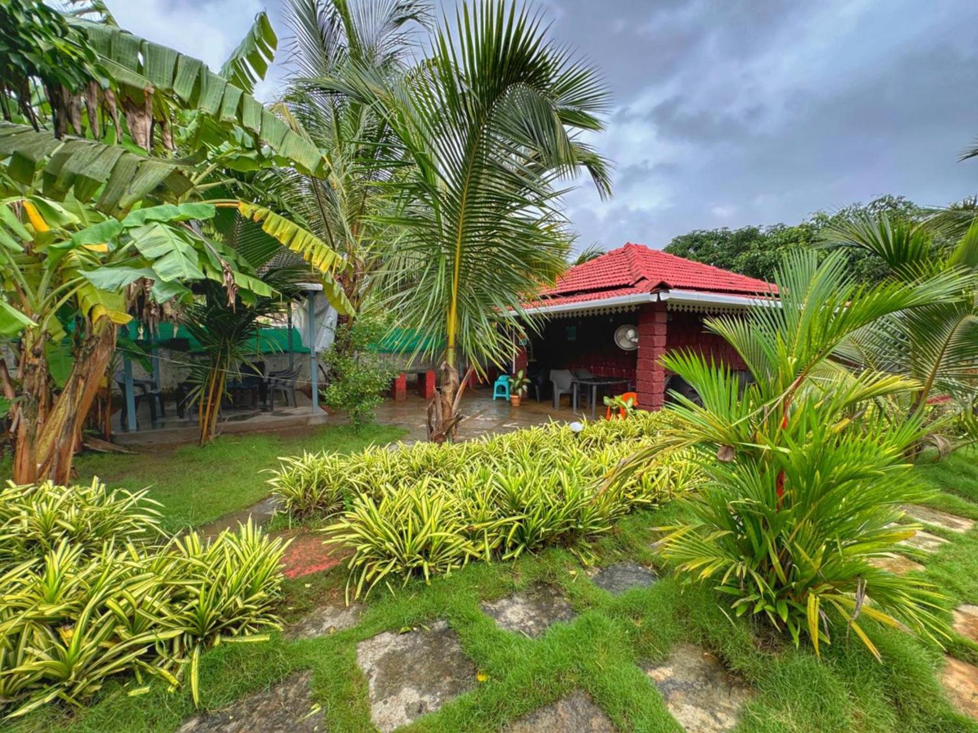 White Truffle Resort, Arambol Bagian luar foto