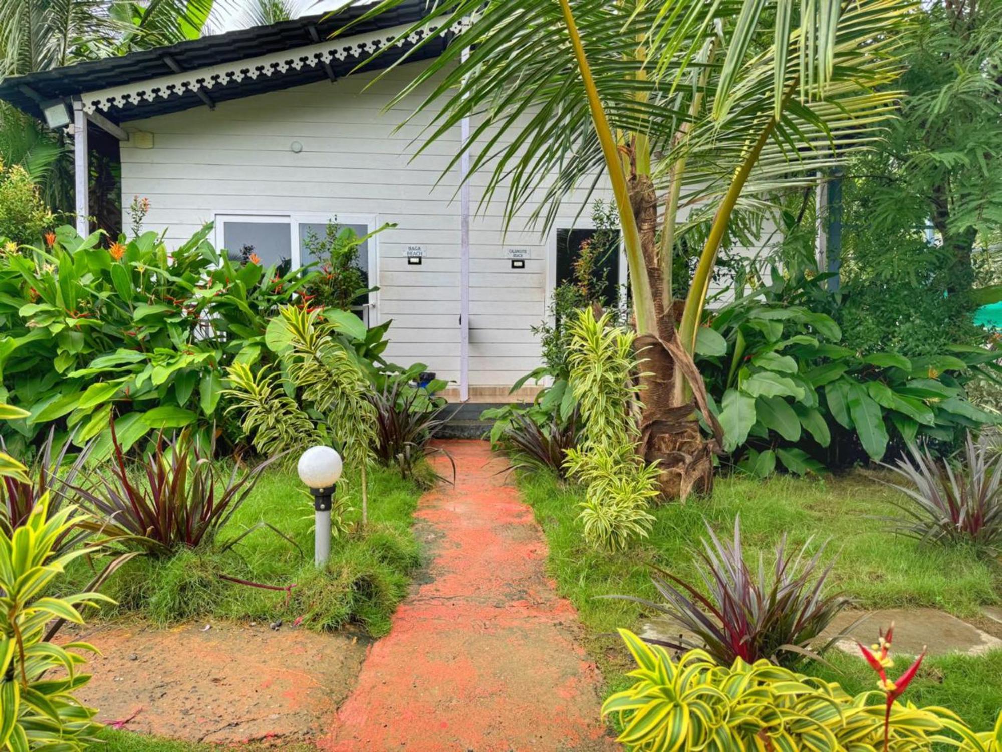 White Truffle Resort, Arambol Bagian luar foto